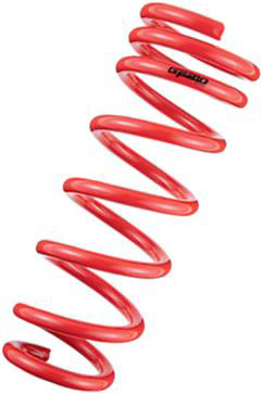 Tanabe NF210 Lowering Springs - RSX Type S 02-04