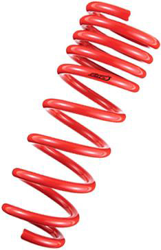 Tanabe NF210 Lowering Springs - RSX Base 02-04