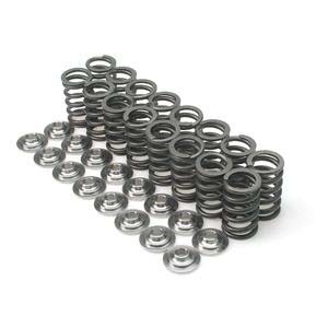 Brian Crower Valve Springs & Retainers ( Steel Retainer/No Seats ) - RSX 02-06