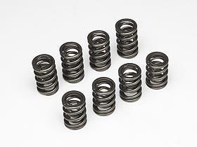 Skunk2 Tuner Series Valve Spring Set (Dual Springs) - RSX Base 02-06