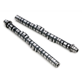 Skunk2 Drop-In Camshaft Set - Acura RSX Type-S